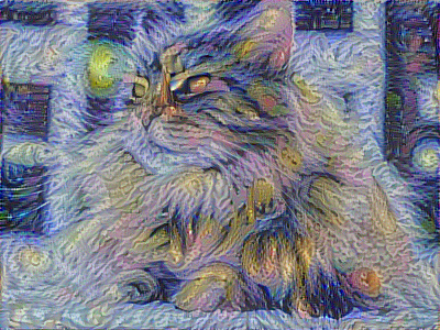 cat